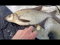 Рыбалка на Каме в Добрянке.Опровергаю лунный календарь.