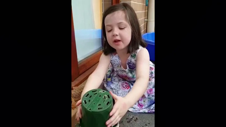 Planting with Koda