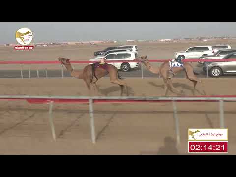 الشوط 11 شامه ل محمد سعيد بن عبيد المزروعي 4 48 شارة الشيخ طحنون 2023 8 12 حقايق سويحان