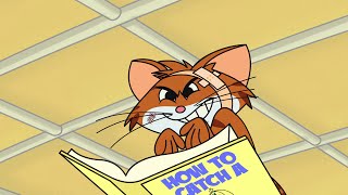 Cat & Keet  The Secret of Book  Funny Animated Cartoon Shows For Kids Chotoonz TV