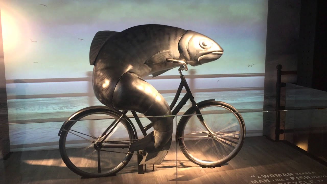 Guinness Storehouse Attractionsfish Riding Bike Youtube within cycling with fish intended for Your house