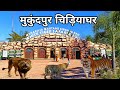 Maharaja martand singh ju dev white tiger safari  zoo  mukundpur zoo  mukundpur madhya pradesh