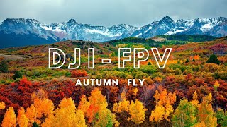 DJI Fpv - Cinematic Autumn Fly