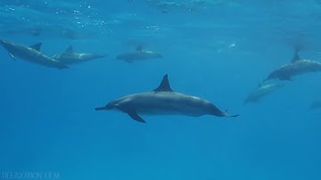 57 سورة الحديد بصوت كروان السماء الشيخ محمود على البنا