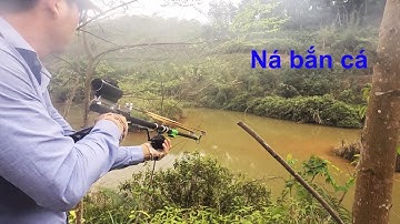 Bắn cá bằng ná cao su lên toàn hàng khủng