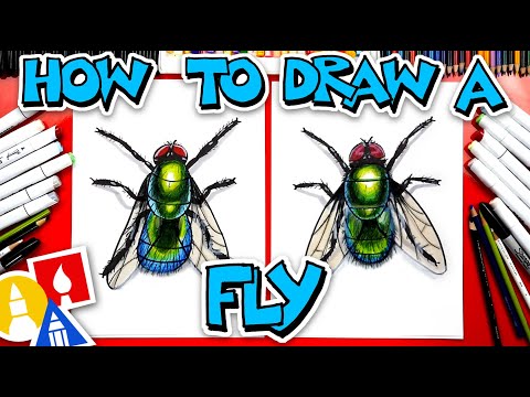Video: How To Draw A Fly