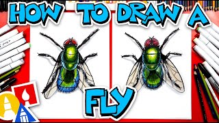 how to draw a realistic fly