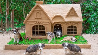 Build New House For Adopting Dog As Christmas Dog House