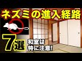 【ネズミ対策】進入経路7選!侵入口はどこ?自分で対策する際の参考に!