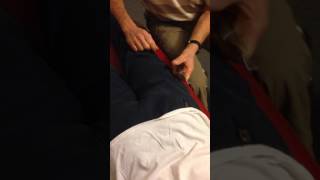 Fiedler Instruments ISTM for sacroiliac joint and Gluteus medius screenshot 2