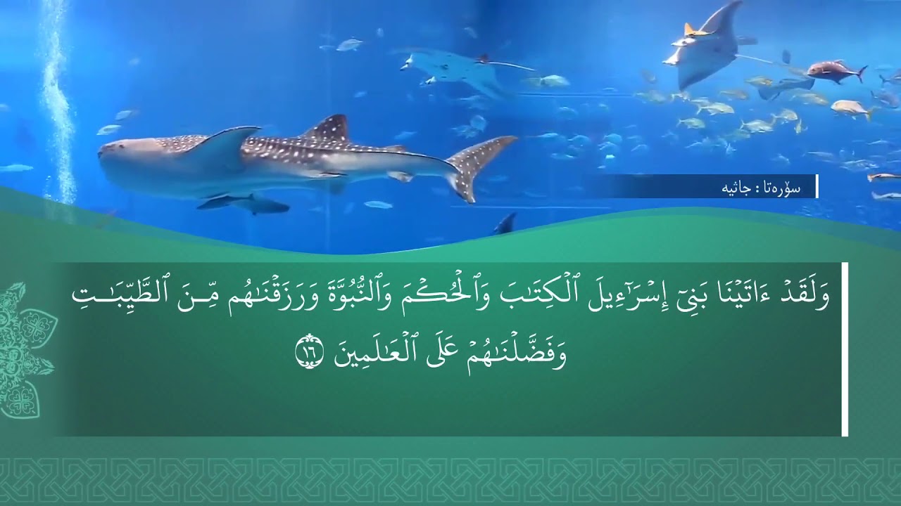 تەفسیرا سوورەتا الجَاثيَة1080p