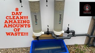 Tempest cleaning after 8 days! A LOT OF WASTE!!