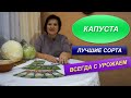 КАПУСТА |  ЛУЧШИЕ СОРТА КАПУСТЫ | ПРОВЕРЕНО !