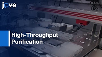 High-Throughput Purification: Affinity-Tagged Recombinant Proteins l Protocol Preview