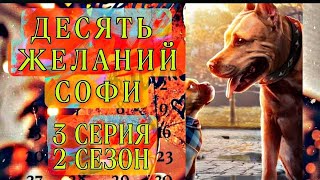 Десять желаний Софи/ 3 серия 2 сезон/ Принятие предложения