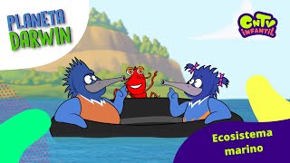 Ecosistema marino  Explicado para niños: Planeta Darwin