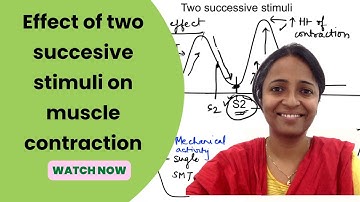 Two successive stimuli on simple muscle curve| Amphibian graphs Practical Physiology mbbs 1st year