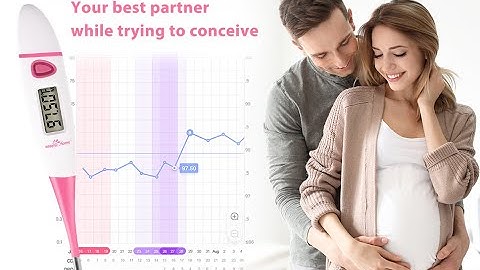 Easy@Home Basal Thermometer EBT 018 Pink | BBT for Fertility Prediction with Memory Recall