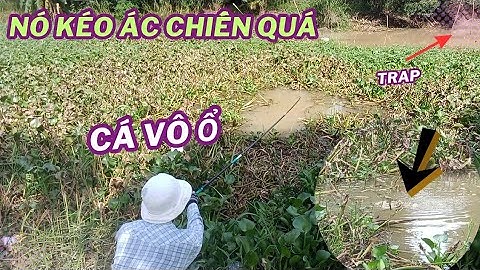 Câu Lại Điểm Ae Câu Trước Không Ngờ Cá Vô Ổ Dữ Quá Ăn Mồi Kéo Quá Trời