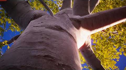 Simple Climbing System