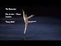 Toma golub 18 the nutcracker  act ii prince variation