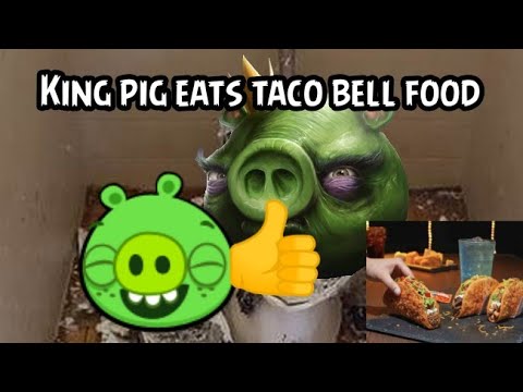 King Pig eats Taco bell food