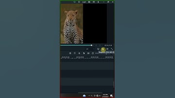 Adding freeze frames ✅ in FILMORA X #shorts #editing #wondershare  #videoediting #filmora #filmorax
