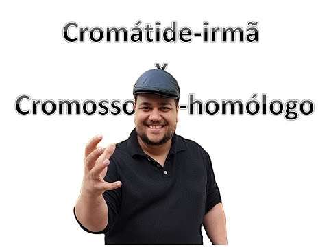 Vídeo: O que é uma cromátide e cromossomo?