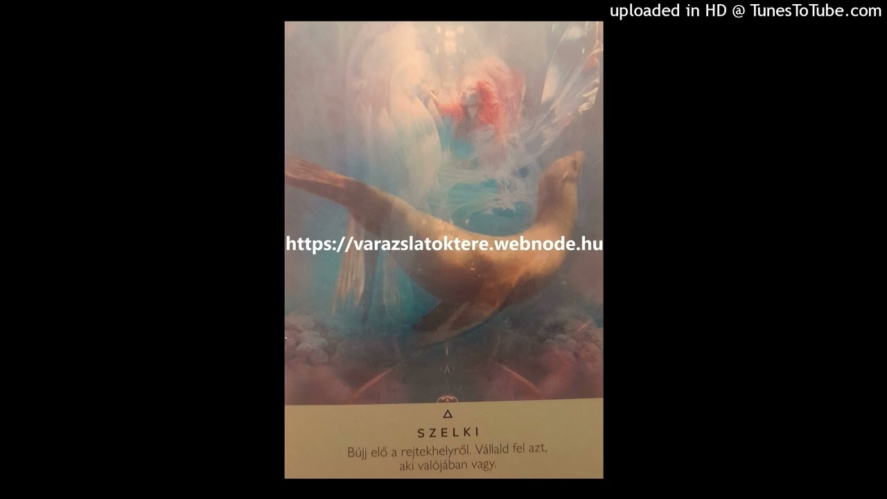 Napi üzenetek-Szelki