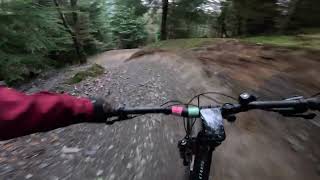 Dyfi Bike Park - reds with a dash of black