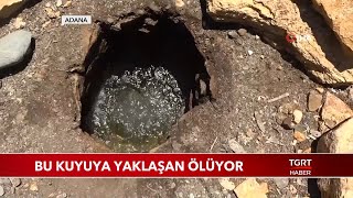 Bu Kuyuya Yaklaşan Tüm Canlılar Ölüyor