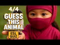 Guess the Animal! ESL Quiz Song | Pink Ninja Challenge (Part 1 of 4)