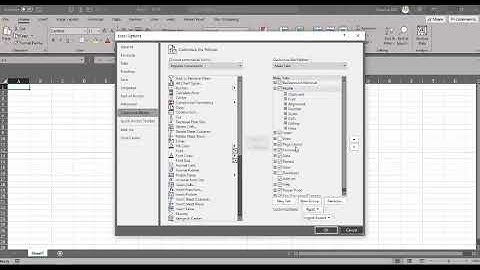Excel With Excel VBA Series : Video No.1-How to activate the Developer tab in MS Excel