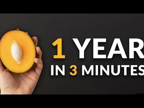 I Grew A Mango Tree From Seed And Filmed It For 1 YEAR 