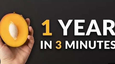 I Grew A Mango Tree From Seed And Filmed It For 1 YEAR 