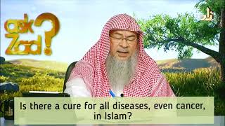 Is there a cure for all illnesses & diseases, even cancer, in Islam? - Assim al hakeem screenshot 2