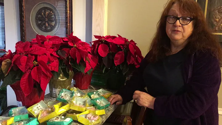 Howey Hudson Lowe Foundation-Heidi Boyd-Winter Won...