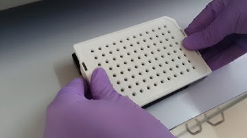 Sanger Sequencer (Sample loading)