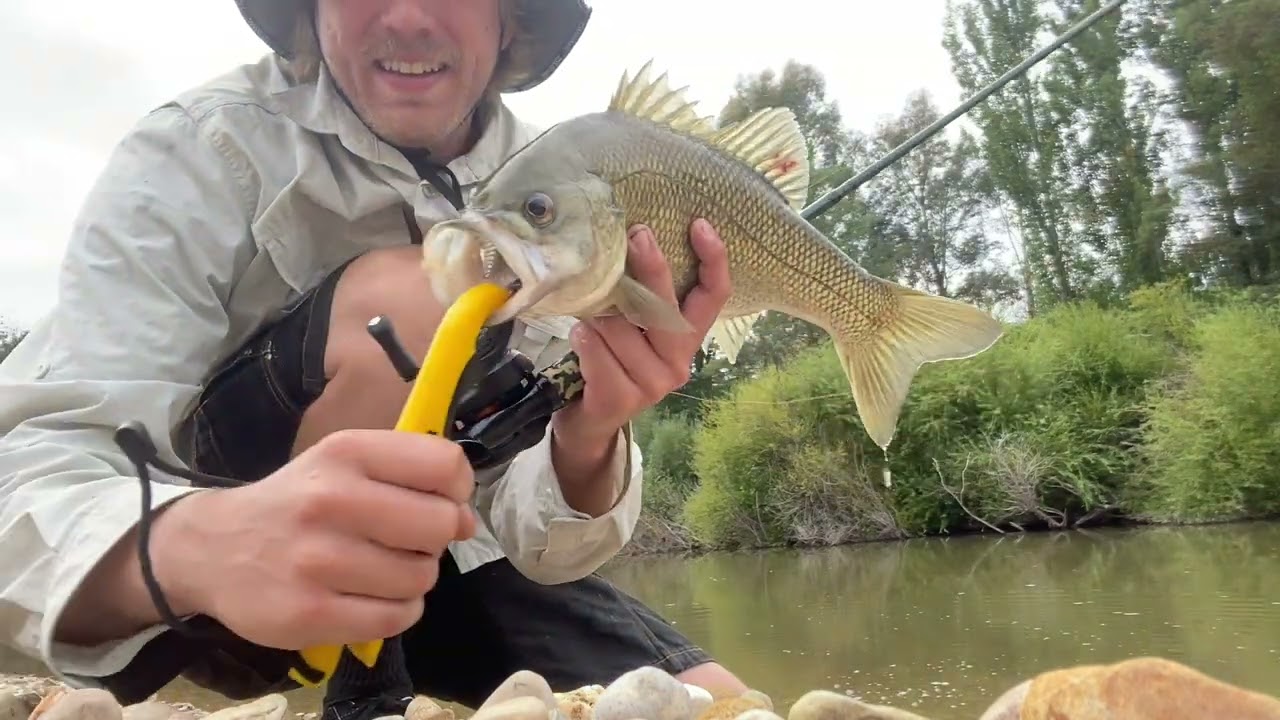Bass Fishing Down Under