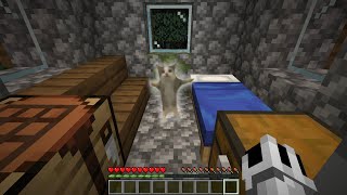 我在Minecraft中遇見了happy cat（I met happy cat in Minecraft）