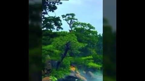 الإبداع والجمال للشيخ هليل في سوره (ص)