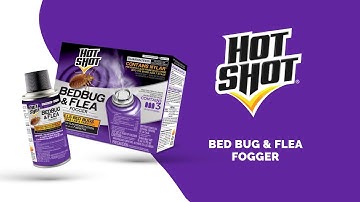 How To Get Rid Of Bed Bugs & Fleas | Hot Shot® Bed Bug & Flea Fogger
