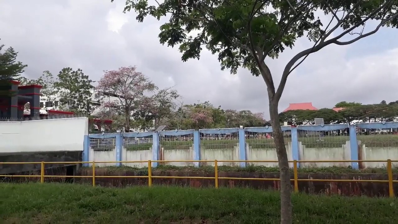  BUNGA SAKURA BATAMINDO  KAWASAN INDUSTRI BATAM YouTube