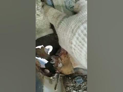 Что такое черная дыра в космосе? Что в черных дырах?