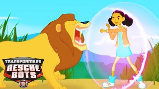 CARTOON MARATHON 24/7 | Transformers: Rescue Bots 🔴 | SEASON 1 |  Transformers Junior