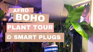 Afro Boho Plant Tour & How I Use Smart Plugs for Grow Lights