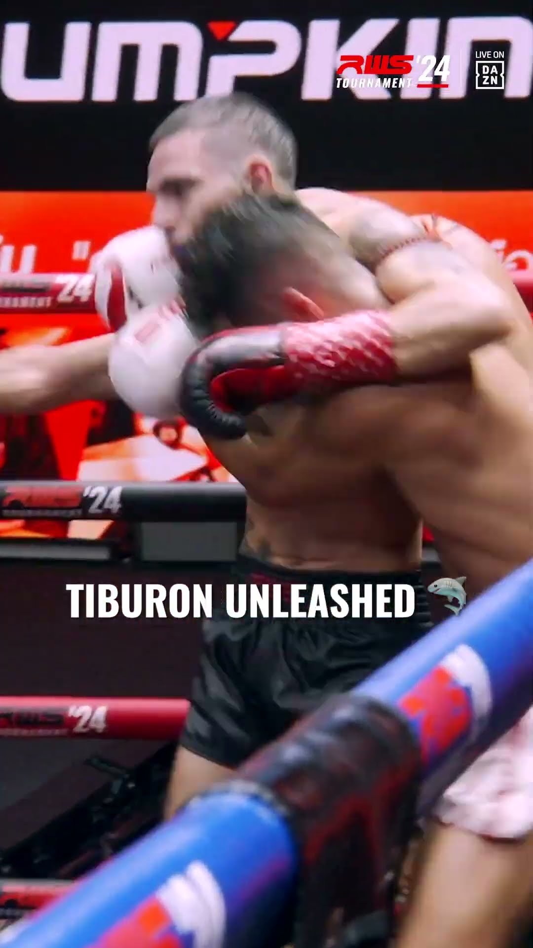 Tiburon Crazy ENHE MADE WHAT HE DID LOOK FUN! ? ?? Alejandro Roa