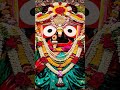 Jay Jagannatha | #whatsappstatus #jagannathbhajan #odia #trending #viral #shorts #bhabarathakura
