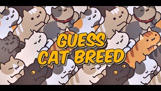 Guess the cat breed trivia game screenshot 1