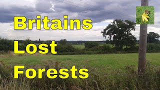 Forestry & woodland management UK